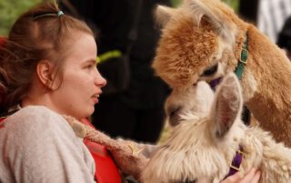 Sommerfest 1